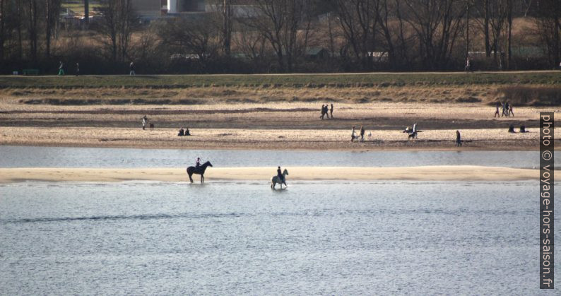 Chevaux sur la plage Falkenstein. Photo © André M. Winter