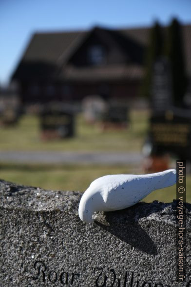 Sculpture de pigeon sur une pierre tombale. Photo © Alex Medwedeff