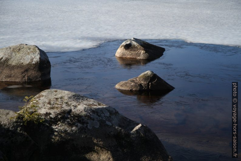 Rochers dans le lac Rällsjön gelé. Photo © Alex Medwedeff
