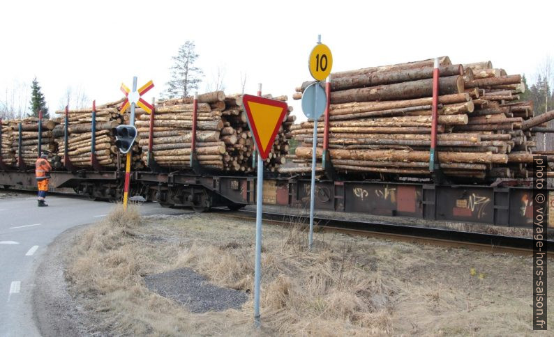 Transport de bois sur chemin de fer. Photo © André M. Winter