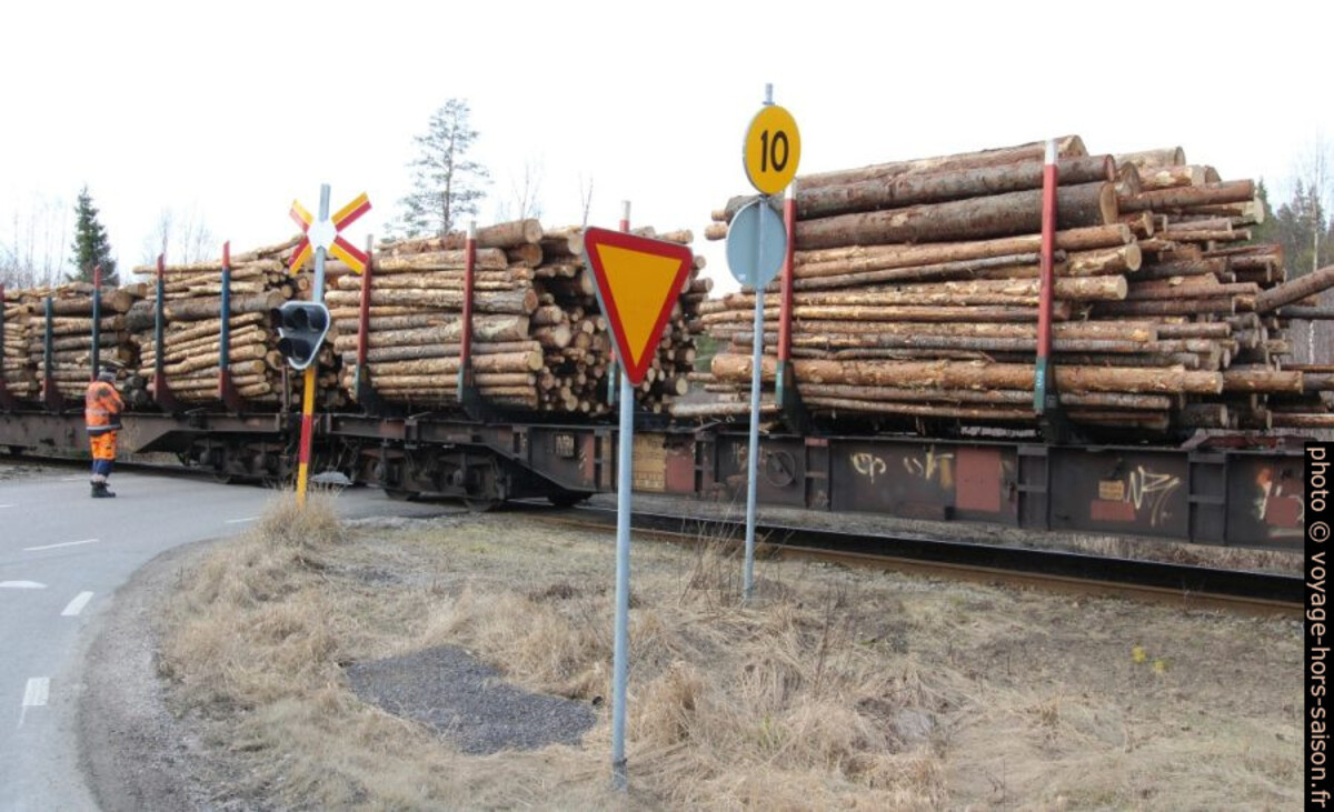 Transport de bois sur chemin de fer. Photo © André M. Winter