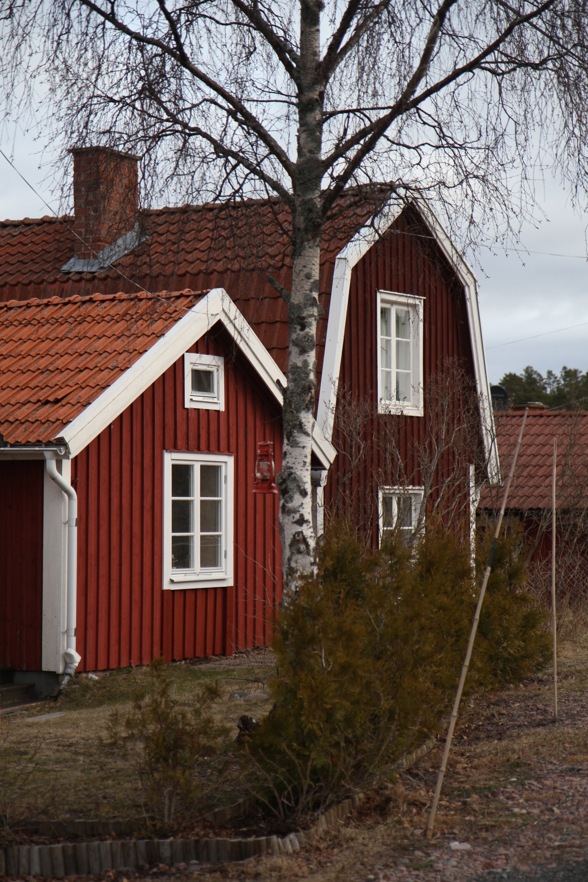 Maisons rouge falun à Norrfällsviken. Photo © Alex Medwedeff