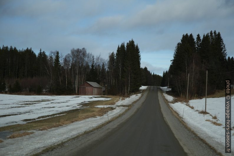 Route non-revêtue près de Gammelbyn. Photo © Alex Medwedeff