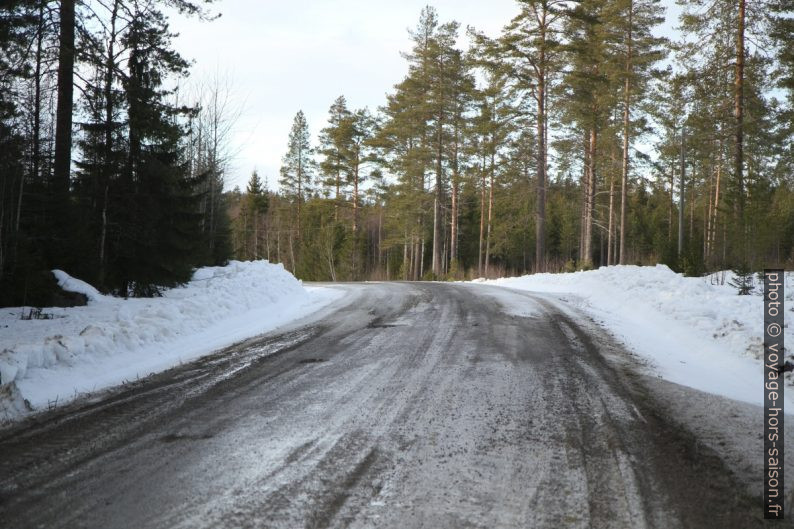 Route non-revêtue près de Lappviken. Photo © Alex Medwedeff