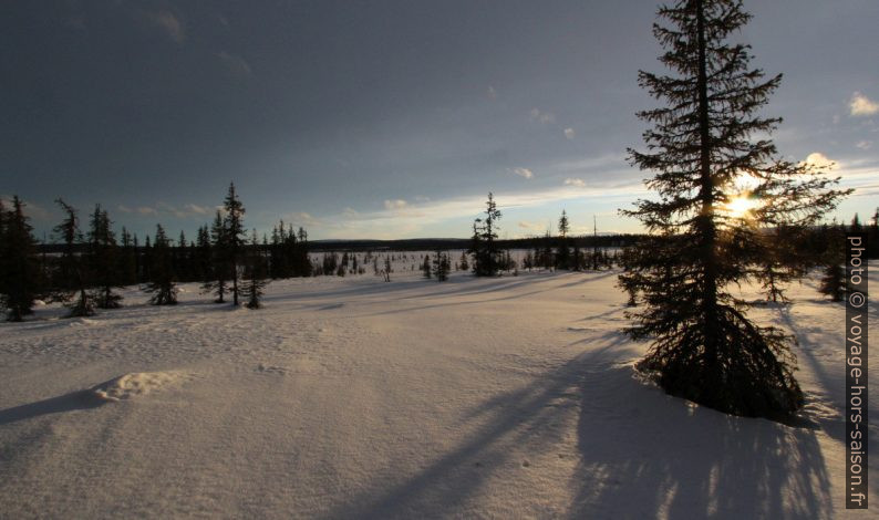 Au bord de la tourbière Itnaáhpi en hiver. Photo © André M. Winter