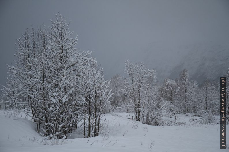 Paysage enneigé. Photo © André M. Winter