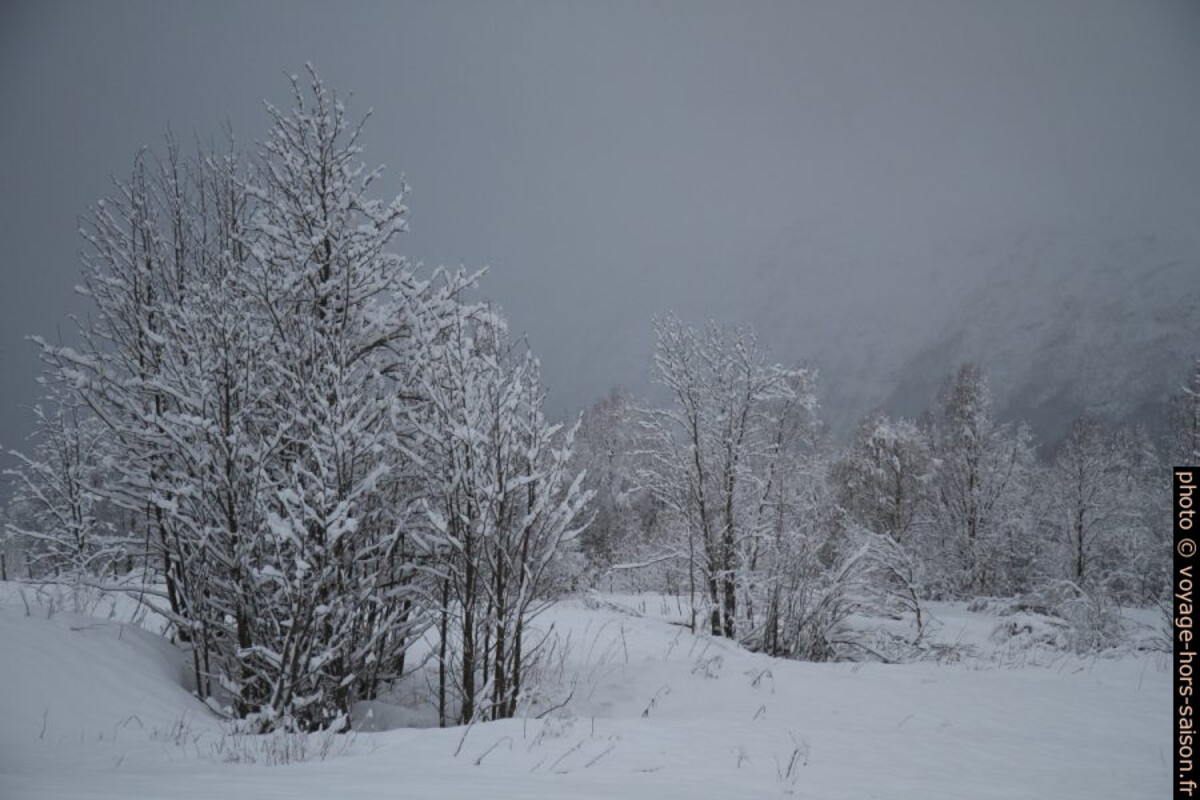 Paysage enneigé. Photo © André M. Winter