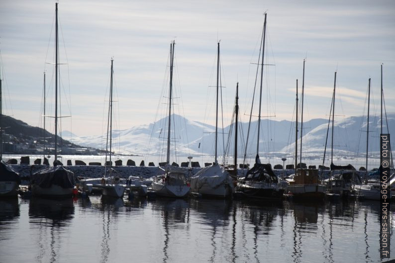 Voiliers dans un port de Tromsø. Photo © Alex Medwedeff