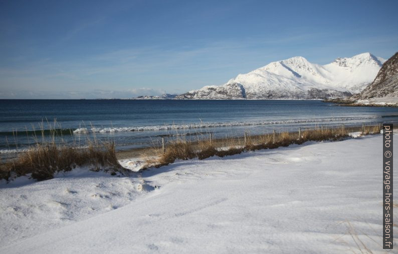 Le front de mer de Grøtfjord. Photo © Alex Medwedeff