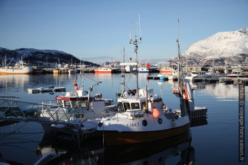 Bateaux de pêche dans le port de Tromvik. Photo © Alex Medwedeff