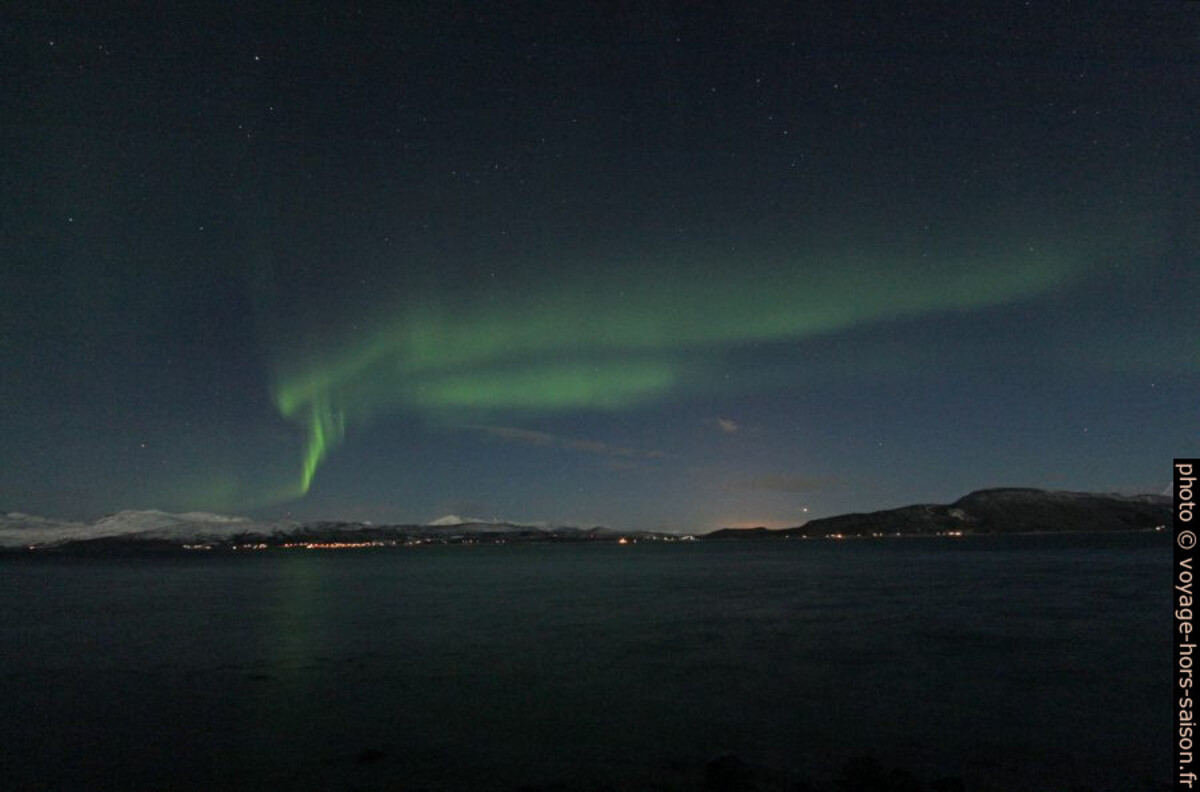 Aurore boréale au dessus de l'Ofotfjorden. Photo © Alex Medwedeff