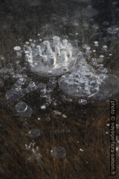 Grandes bulles d'air prises dans une flaque d'eau entièrement gelée