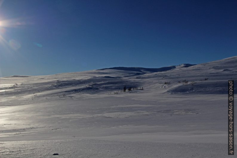 Hiver sur le Saltfjellet