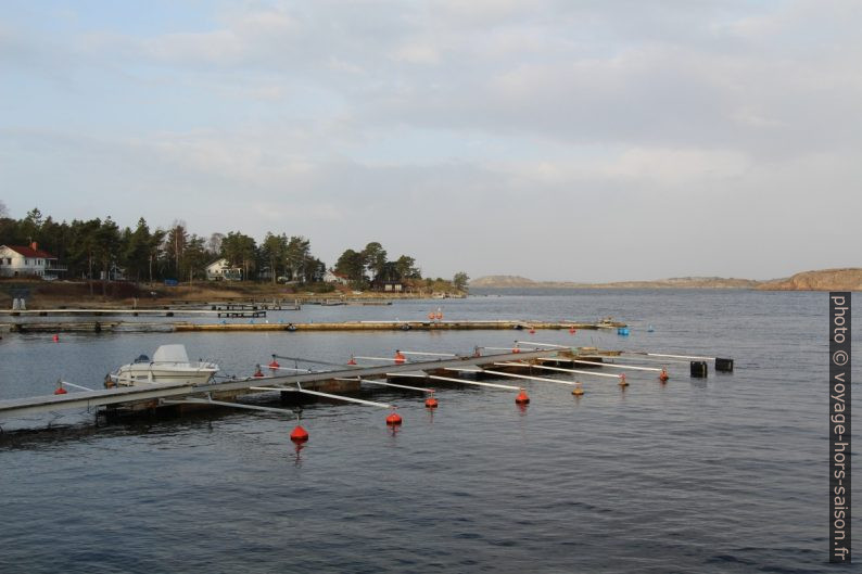 Pontons flottants à Bågen. Photo © Alex Medwedeff