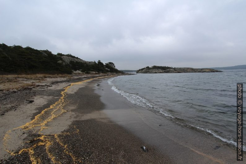 Danmarksbukten et Kattholmen sur Saltö. Photo © André M. Winter