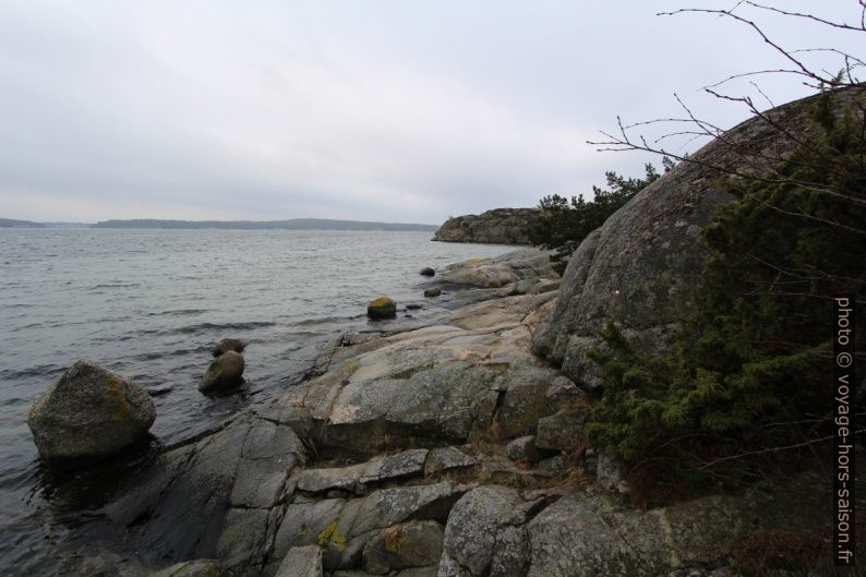 Côte rocheuse sud de Saltö. Photo © Alex Medwedeff