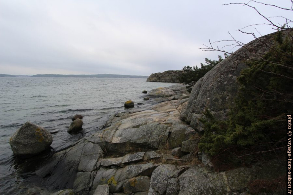 Côte rocheuse sud de Saltö. Photo © Alex Medwedeff
