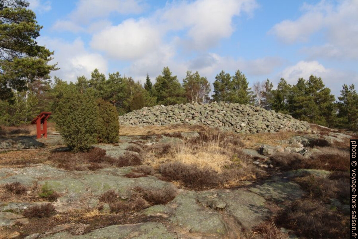Un tumulus de Vitlycke. Photo © Alex Medwedeff