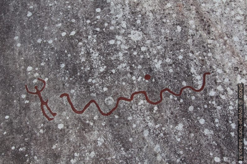 Serpent de Vitlycke. Photo © André M. Winter