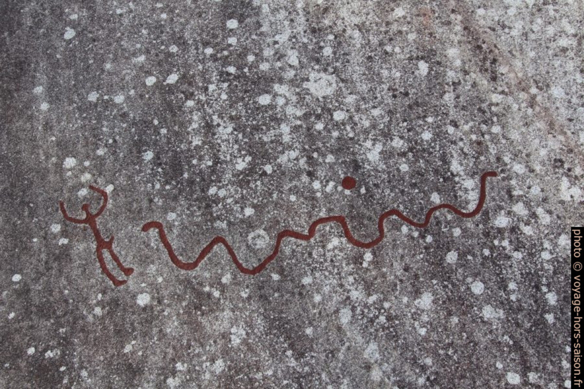Serpent de Vitlycke. Photo © André M. Winter