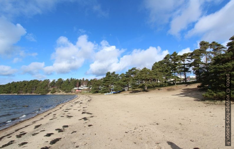 Plage du Camping Havsten. Photo © André M. Winter