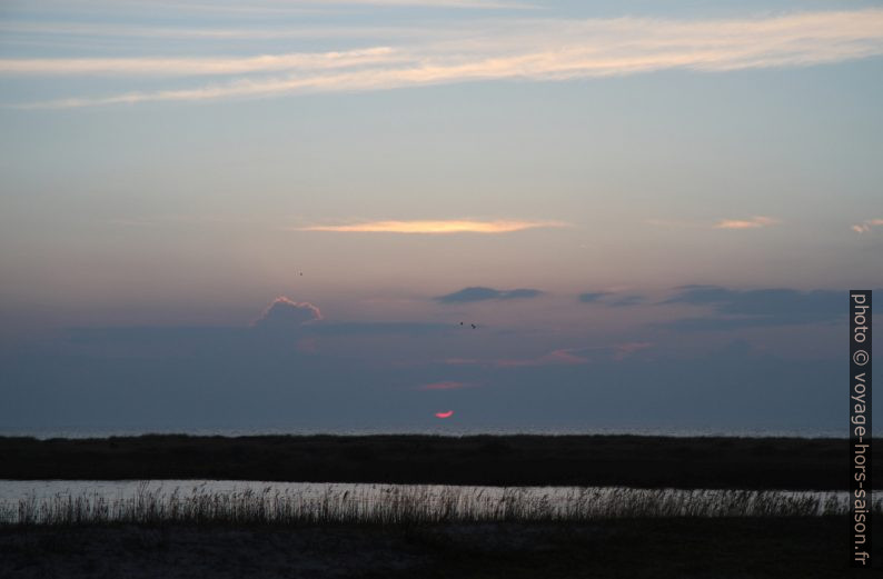 Coucher de soleil à Falsterbo. Photo © Alex Medwedeff