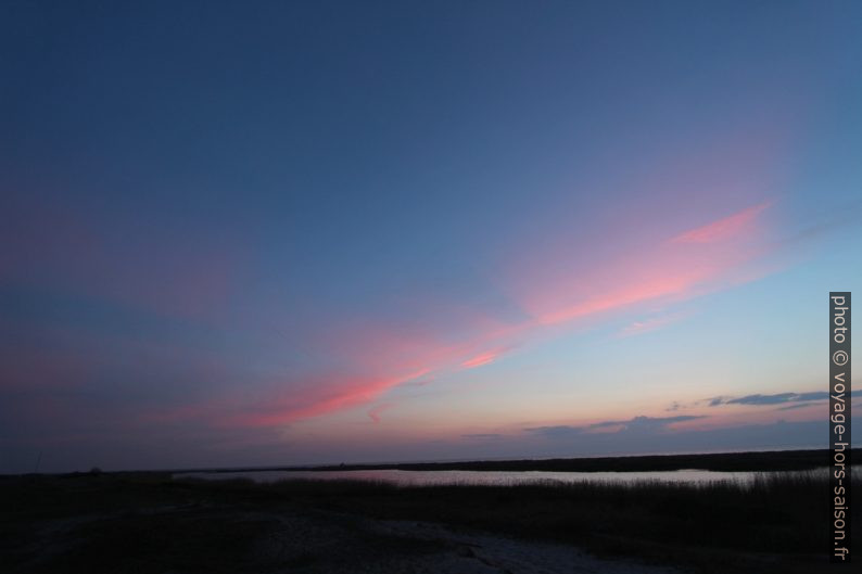 Ciel d'hiver rose au coucher du soleil. Photo © Alex Medwedeff