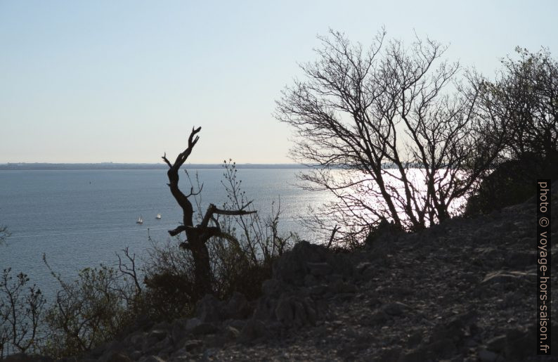 Karst de Trieste. Photo © Alex Medwedeff