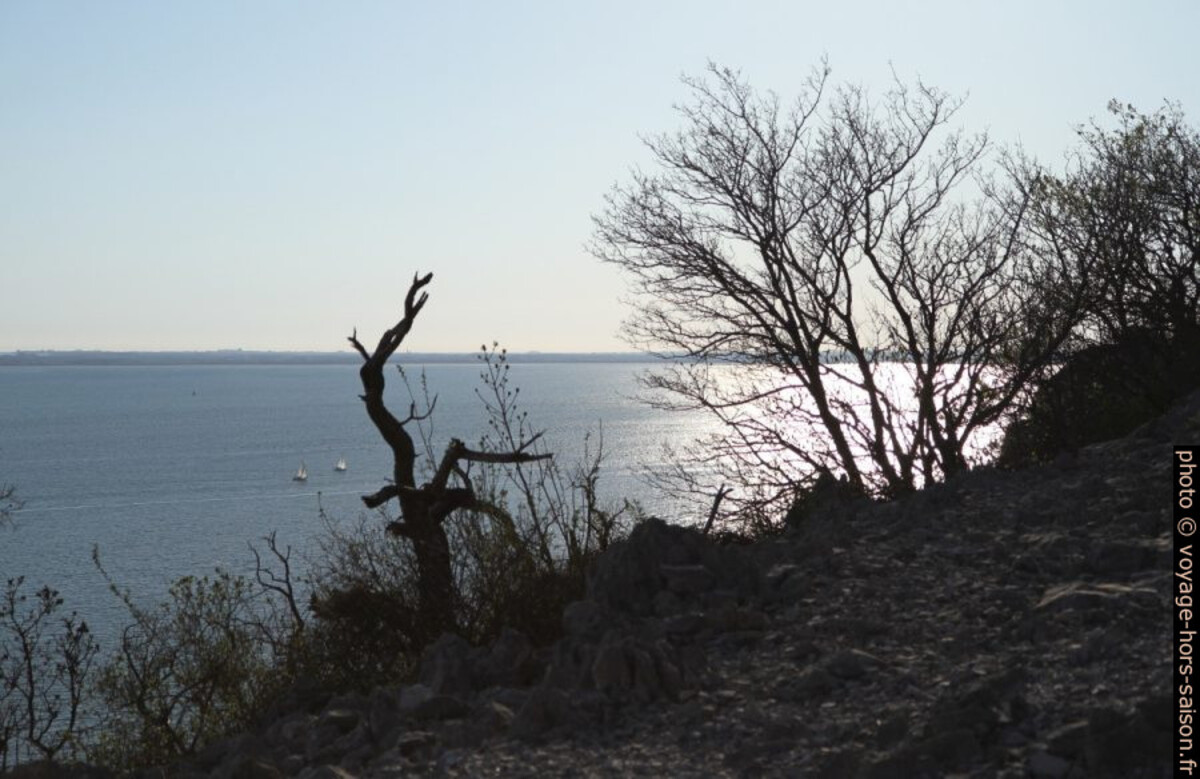Karst de Trieste. Photo © Alex Medwedeff