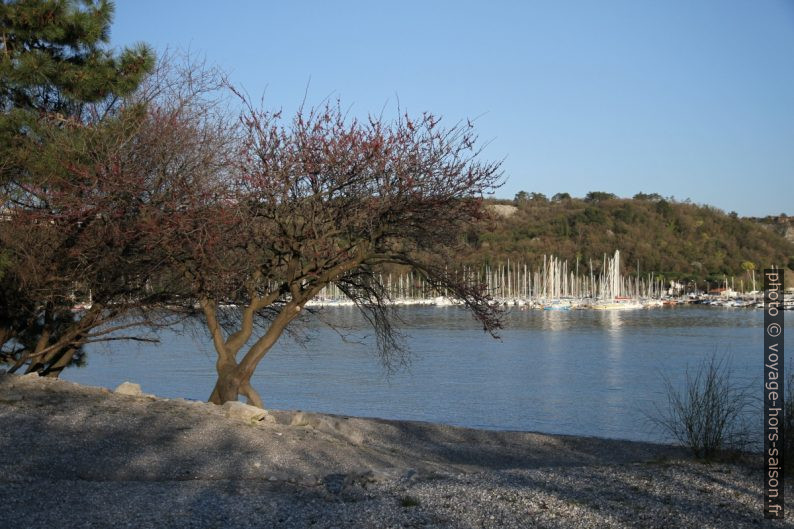 Plage de galets dans la Baie de Sistiana. Photo © Alex Medwedeff