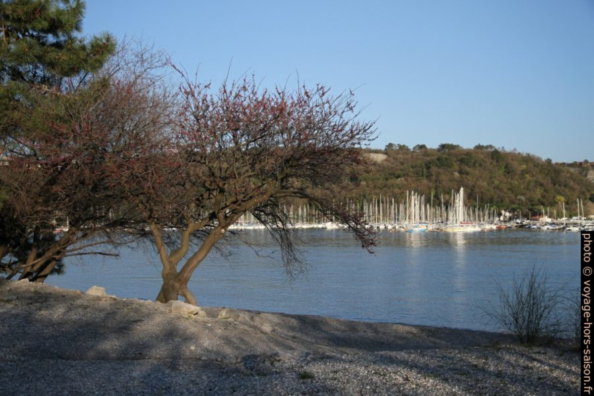 Plage de galets dans la Baie de Sistiana. Photo © Alex Medwedeff
