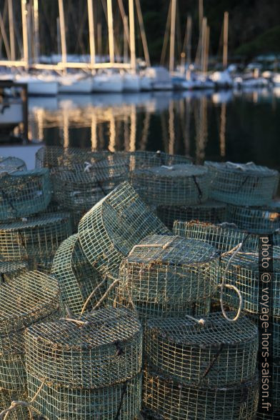 Cages à crabes. Photo © Alex Medwedeff