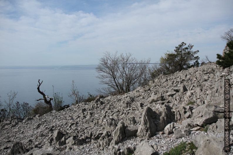 Karst aride de Trieste. Photo © Alex Medwedeff