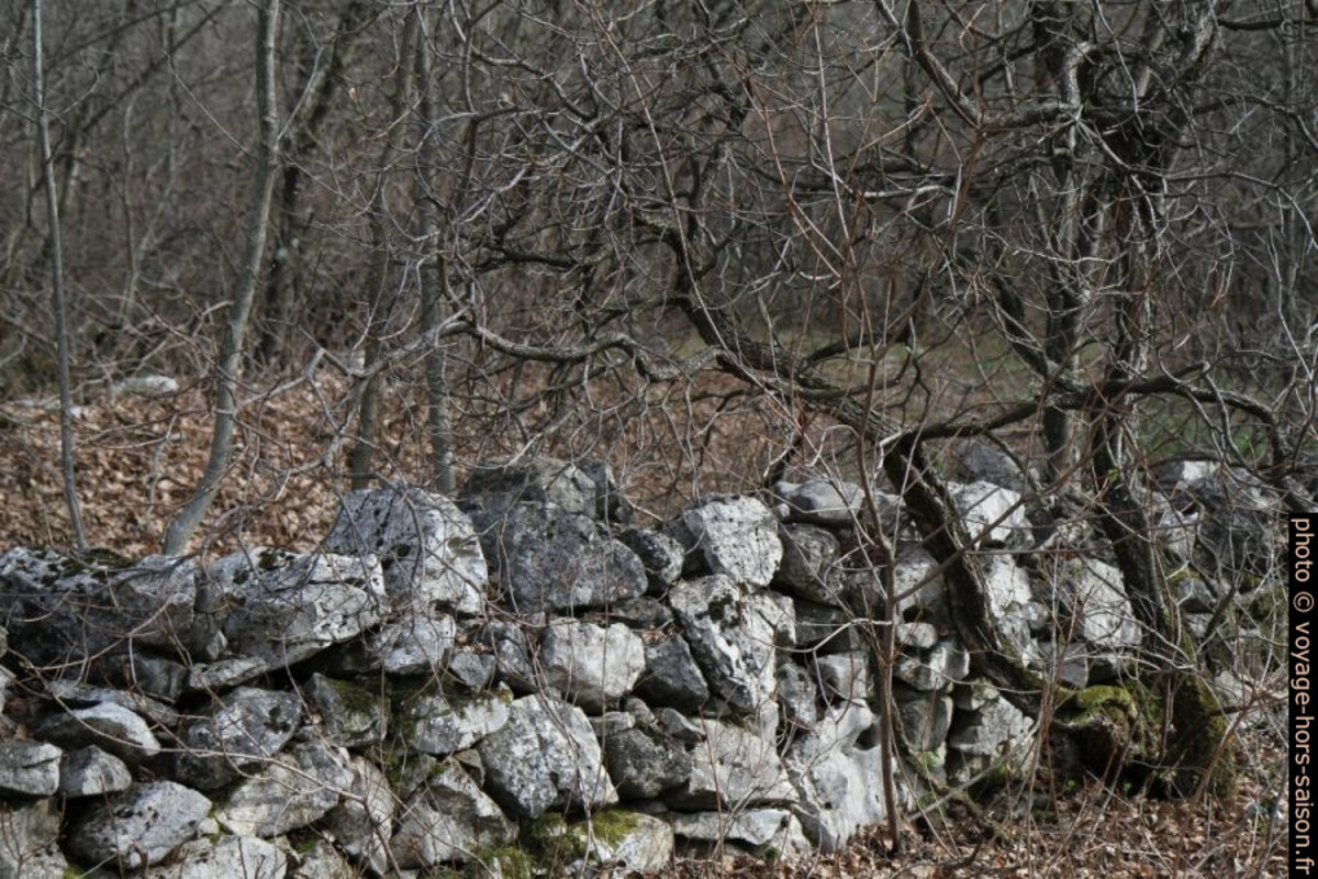 Mur en pierre sèche en forêt. Photo © Alex Medwedeff