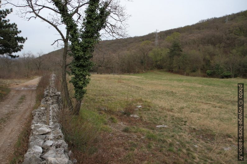 Piste, mur en pierre sèche et champ. Photo © Alex Medwedeff