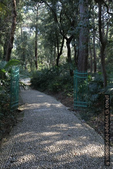 Chemin dans le Parco di Miramare. Photo © Alex Medwedeff