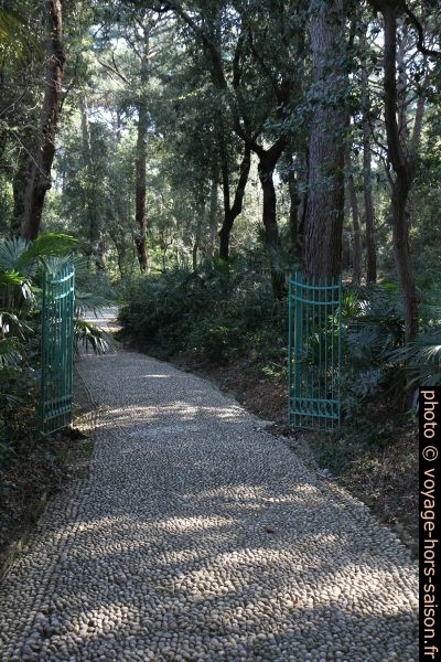 Chemin dans le Parco di Miramare. Photo © Alex Medwedeff
