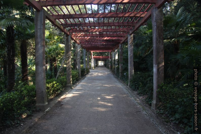 Une pergola du Parco di Miramare. Photo © André M. Winter