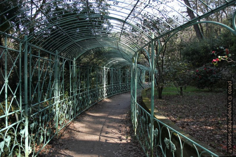 Couloir en pergola dans le parc de Miramare. Photo © Alex Medwedeff