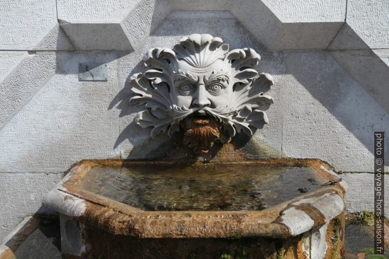 Tête de faune d'un fontaine. Photo © Alex Medwedeff