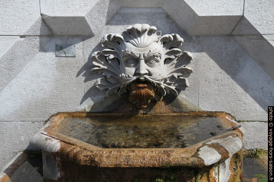 Tête de faune d'un fontaine. Photo © Alex Medwedeff