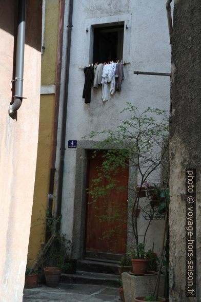 Scène dans la vieille ville de Trieste. Photo © Alex Medwedeff