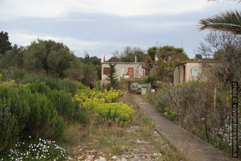 Maison inachevée et jardin sauvage. Photo © Alex Medwedeff