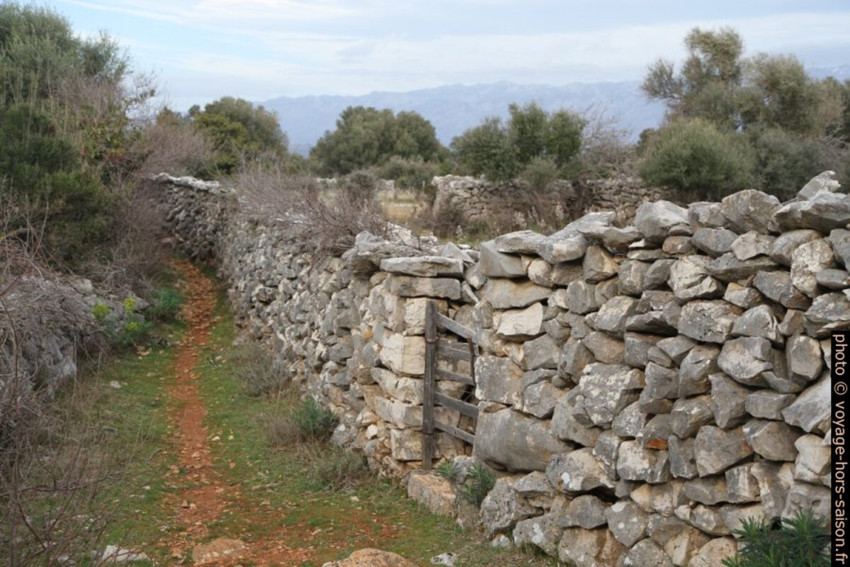 Des murs en pierre sèche forment les enclos. Photo © Alex Medwedeff