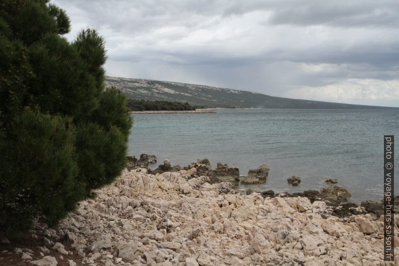 Vue du Cap Rt Selac vers le sud-est. Photo © Alex Medwedeff