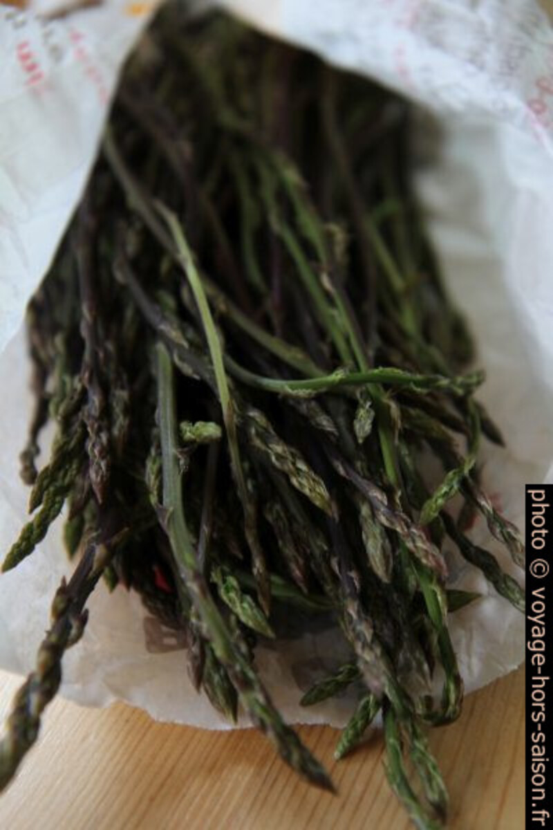 Tiges d'asperges sauvages fraîchement cueillies. Photo © Alex Medwedeff
