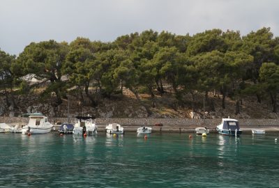 Pinède autour du port de Mandre. Photo © Alex Medwedeff