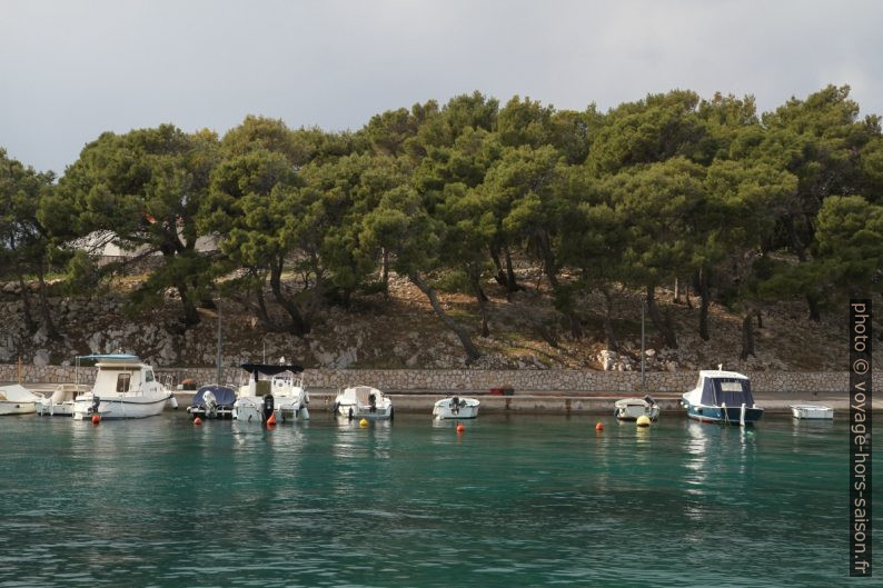 Pinède autour du port de Mandre. Photo © Alex Medwedeff