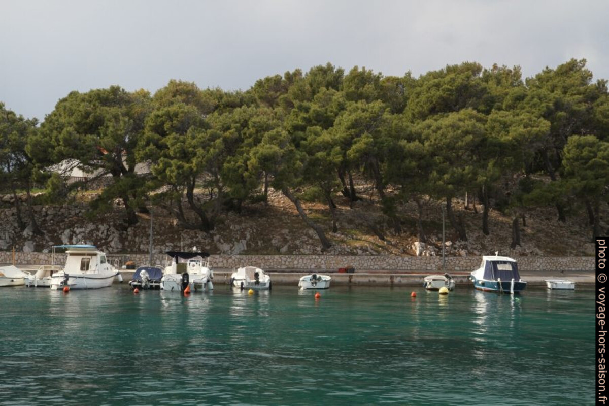 Pinède autour du port de Mandre. Photo © Alex Medwedeff