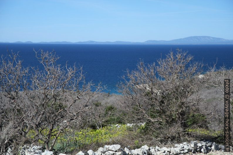 Chênes noueux, le canal de Kvarnerić et l'Île de Lošinj. Photo © Alex Medwedeff